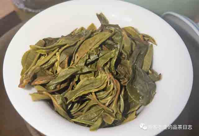 困鹿山制茶人2023年困鹿山圆叶单株普洱茶