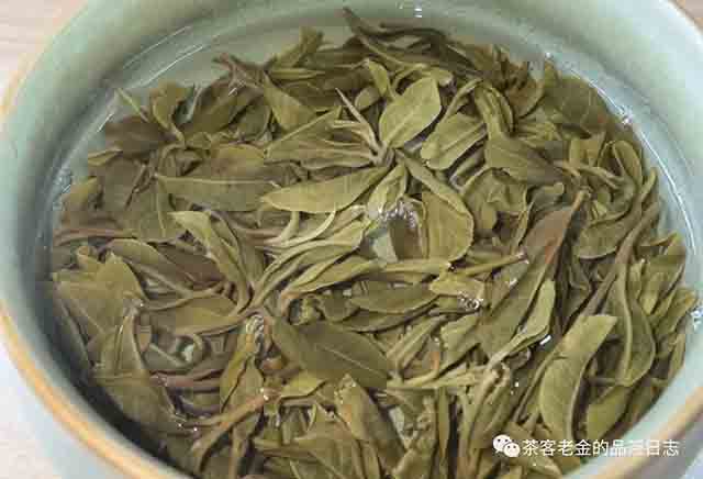 困鹿山制茶人2023年困鹿山圆叶单株普洱茶