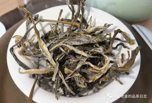 困鹿山制茶人2023年困鹿山单株普洱茶