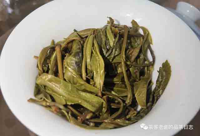 困鹿山制茶人2023年困鹿山单株普洱茶