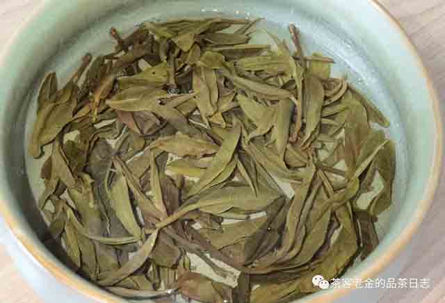 困鹿山制茶人2023年困鹿山单株普洱茶