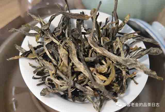 困鹿山制茶人2023年困鹿山单株普洱茶