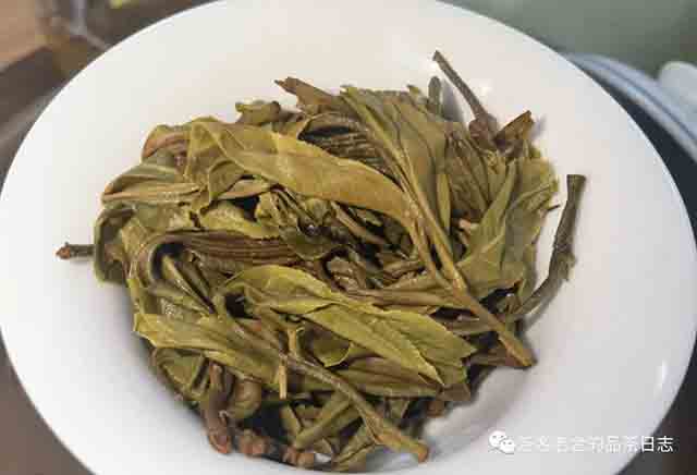 困鹿山制茶人2023年困鹿山单株普洱茶