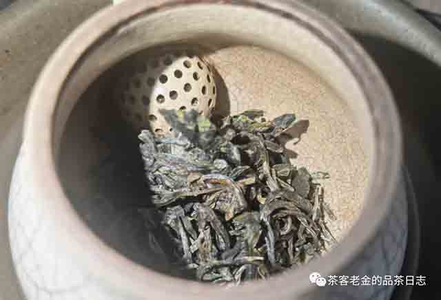彤掌柜2023年森林茶普洱茶