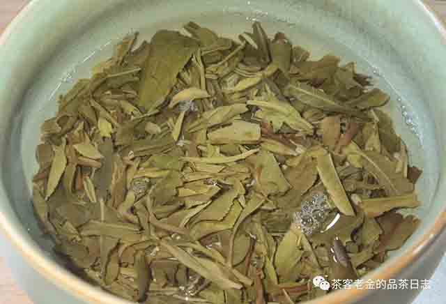 彤掌柜2023年森林茶普洱茶