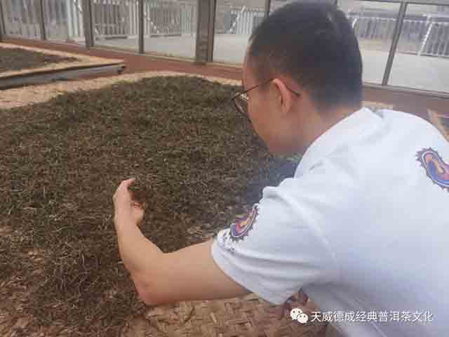 天威德成老班章普洱茶品质特点
