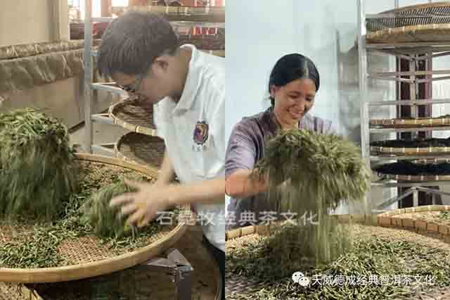 天威德成老班章普洱茶品质特点