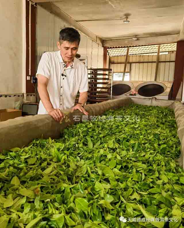 天威德成老班章普洱茶品质特点