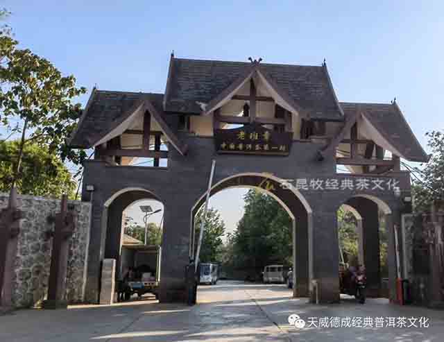 天威德成老班章普洱茶品质特点