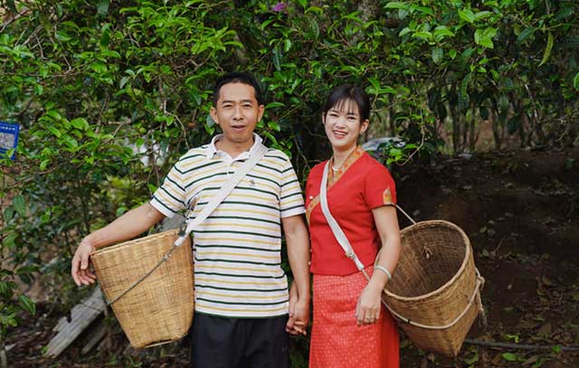 普洱杂志