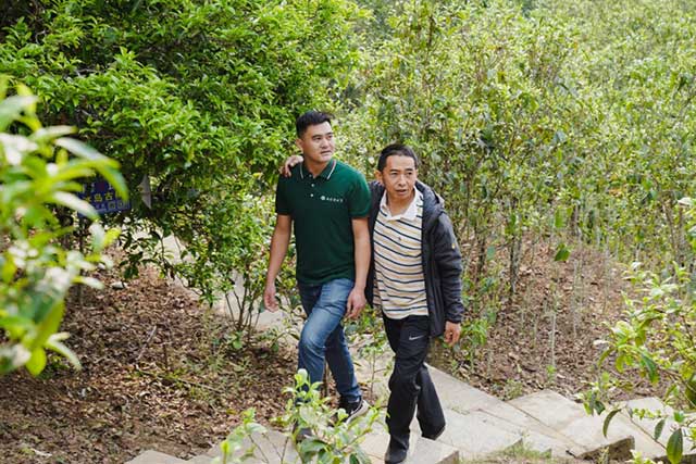 普洱杂志