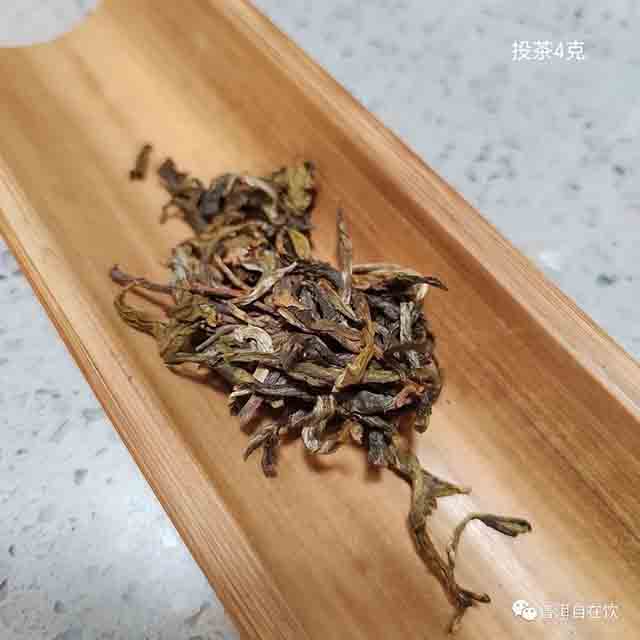 澜沧凤凰山古树传奇凤凰普洱茶品质特点