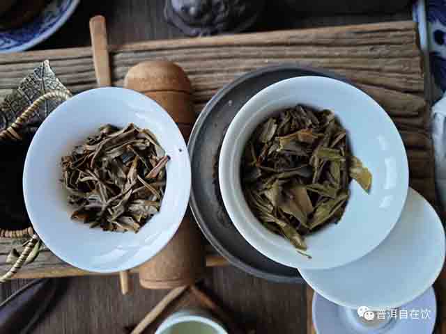 润元昌2022绿印普洱茶品质特点
