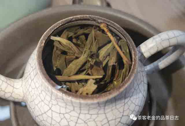 老爷说不将就2021年帕沙春茶普洱茶