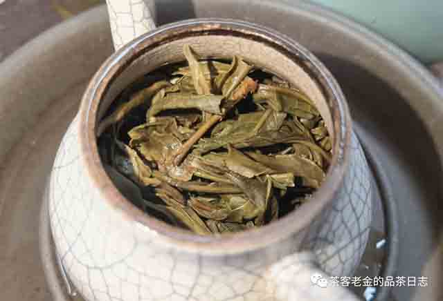 老爷说不将就2021年帕沙春茶普洱茶