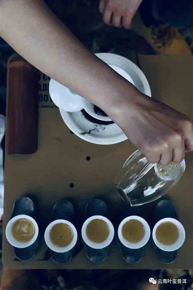 叶玺普洱革登普洱茶品质特点