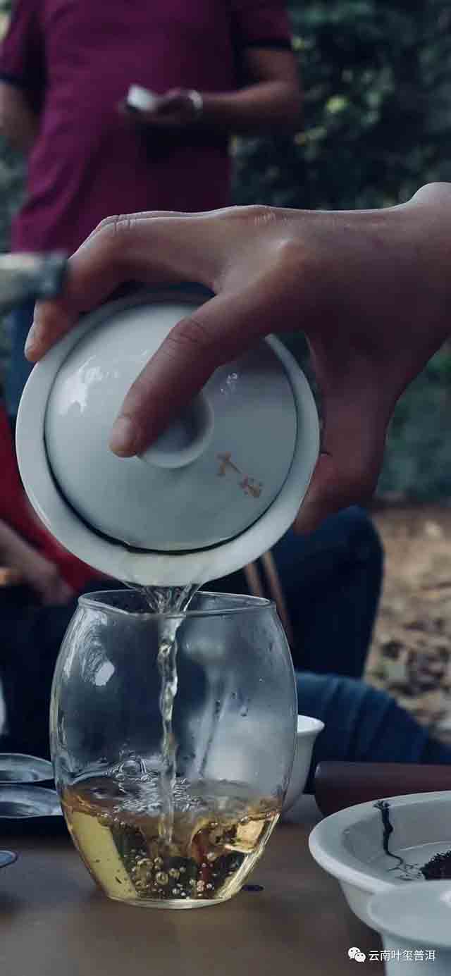 叶玺普洱革登普洱茶品质特点