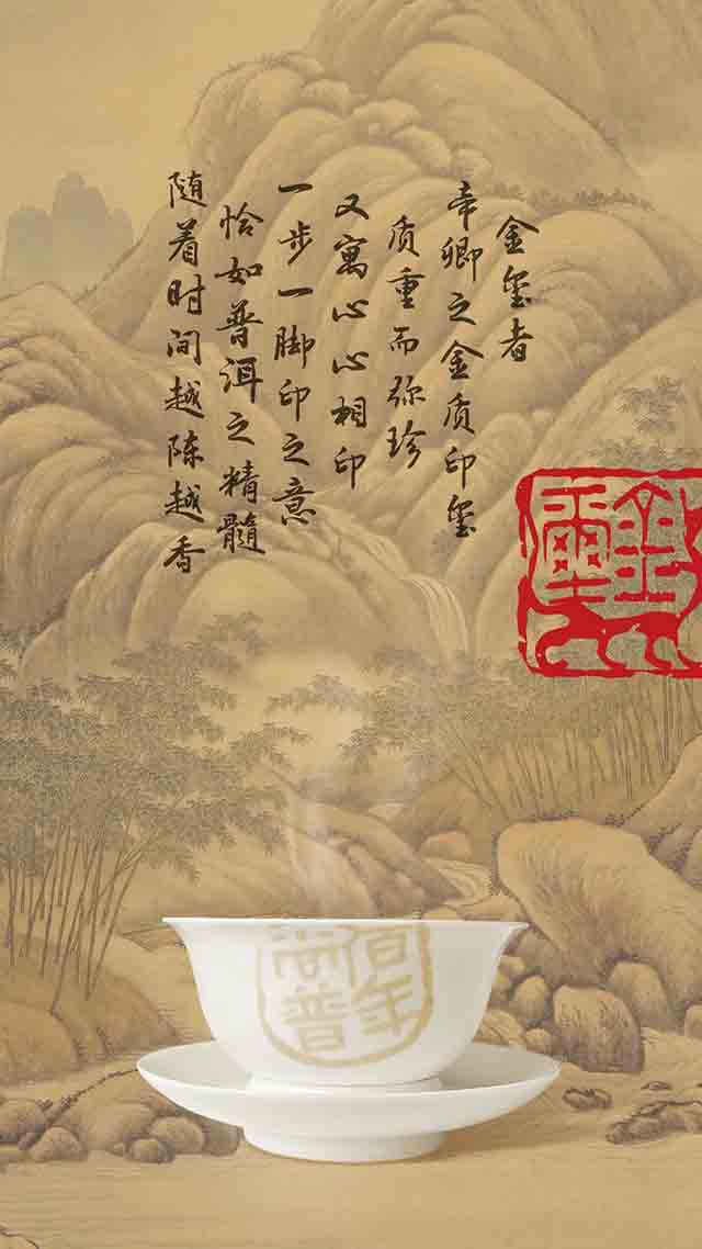 普洱杂志