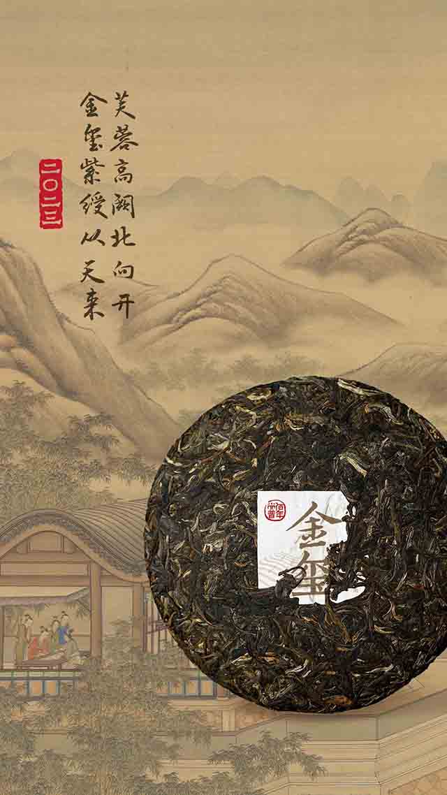普洱杂志