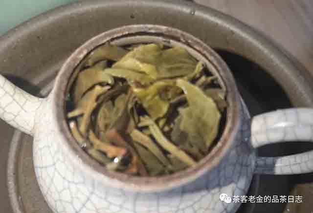 宁洱小陶2022年云木二代龙珠普洱茶