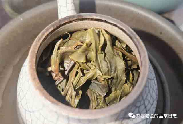 宁洱小陶2022年云木二代龙珠普洱茶
