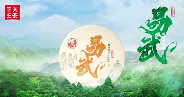 下关沱茶全国品茶大赛