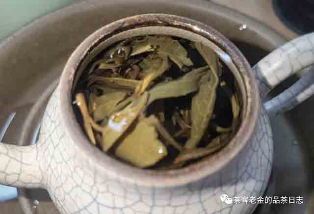 吾茶共饮芊玑普洱茶