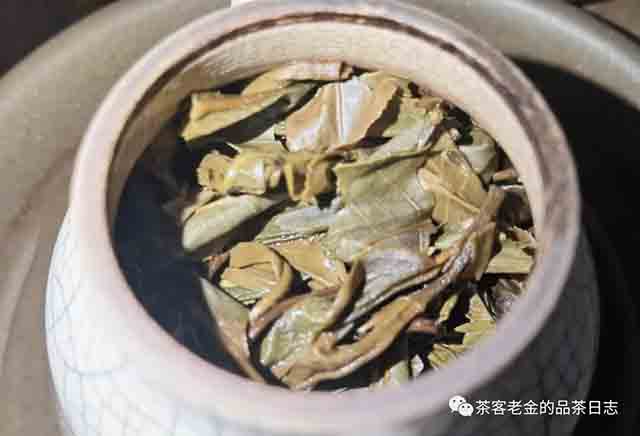 吾茶共饮芊玑普洱茶