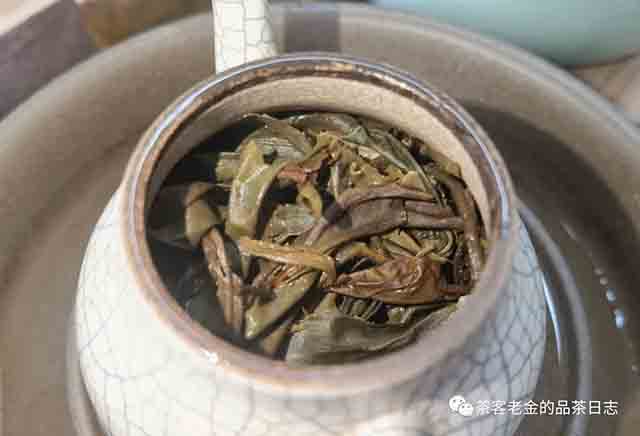 吾茶共饮芊玑普洱茶