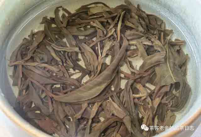 吾茶共饮芊玑普洱茶