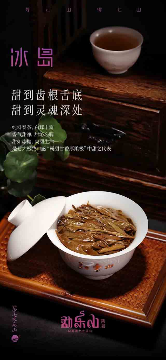 勐乐山普洱2023年冰岛普洱茶品质特点