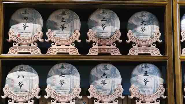 老乌山古茶树