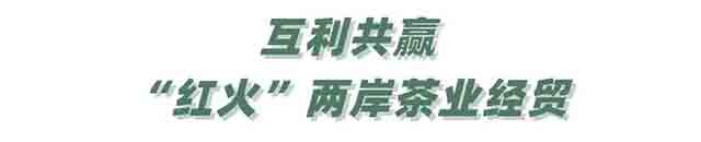 福建漳平鸿鼎农场开发有限公司茶园生机勃勃,每年春季需要300~400位当地茶农抢抓时节采摘茶叶。