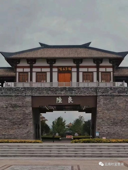 云南叶玺普洱曲靖陆良旗舰店