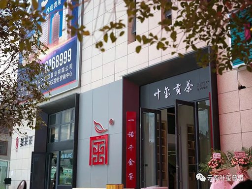 云南叶玺普洱曲靖陆良旗舰店
