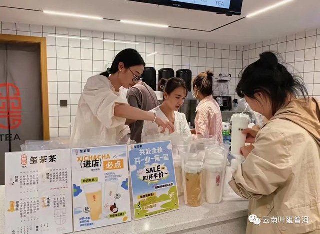 云南叶玺普洱曲靖陆良旗舰店