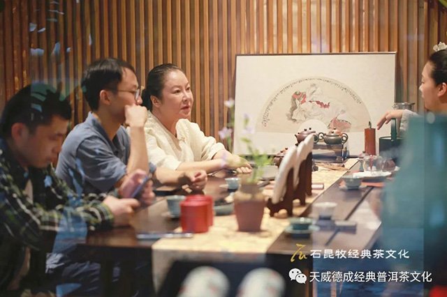 天威德成2023年新品熟茶尝新茶会