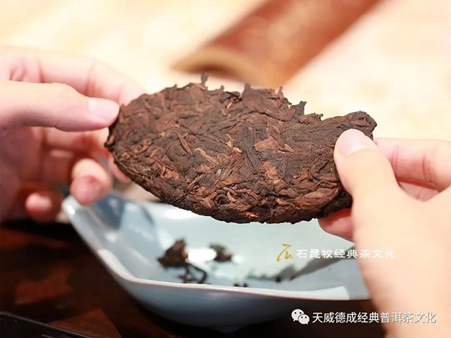 天威德成2023年新品熟茶尝新茶会