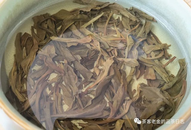 拉祜公主普洱茶2021年弯弓龙珠