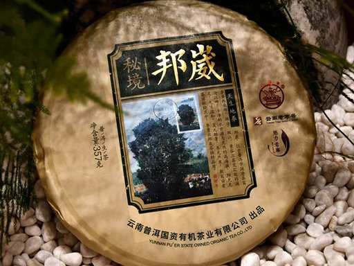 八角亭魅力老寨邦崴普洱茶品质特点