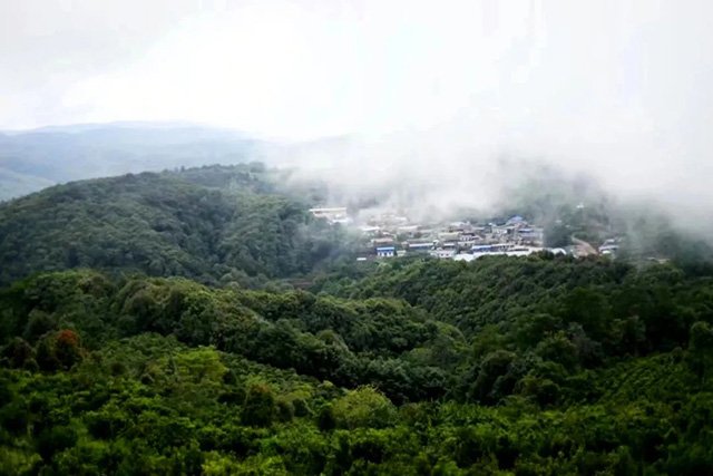 八角亭魅力老寨邦崴普洱茶品质特点