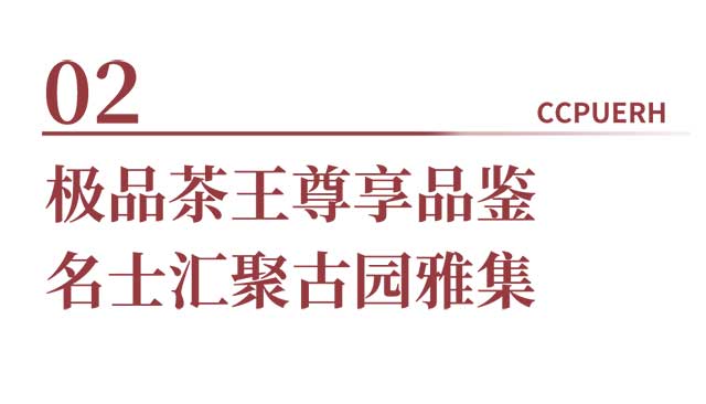 2023双陈年份茶开仓节