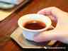天威德成新品2023守黑熟茶尝鲜茶会