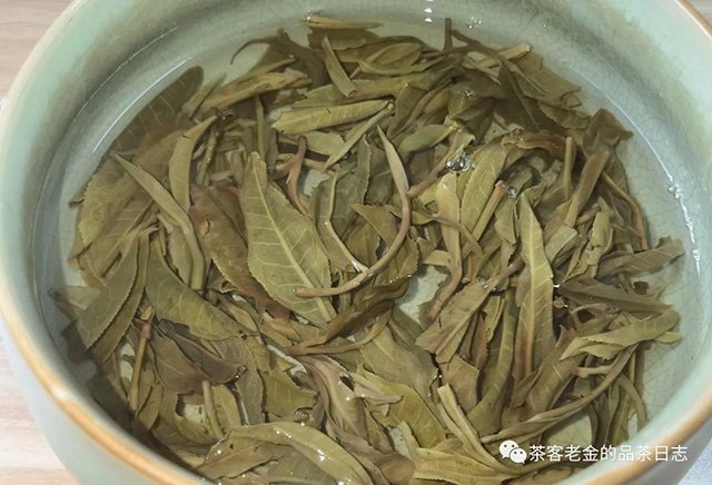 吾茶共饮2023年凤箫普洱茶