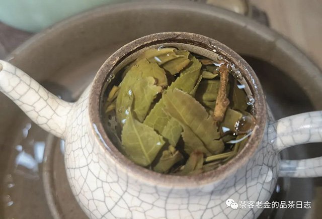 吾茶共饮2023年凤箫普洱茶
