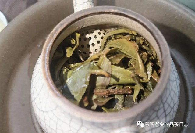 吾茶共饮2023年凤箫普洱茶