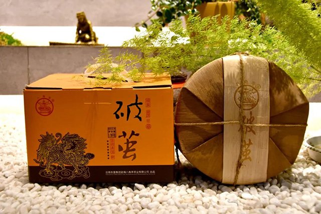 八角亭2023年破茧普洱生茶品质特点