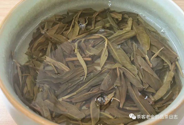 吾茶共饮2023年菁瑶普洱茶