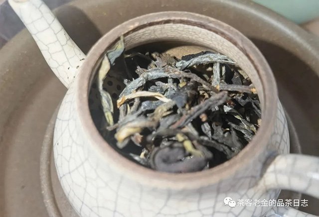 吾茶共饮2023年菁瑶高杆秋茶普洱茶