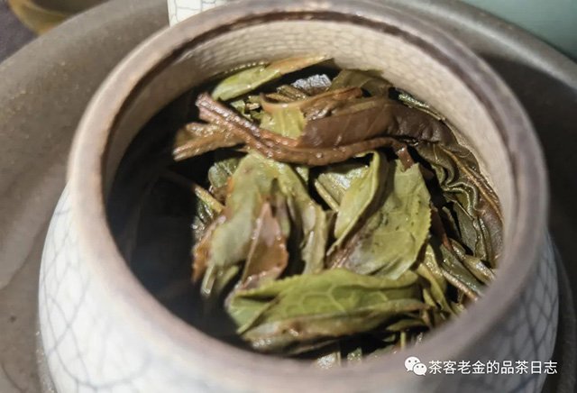 吾茶共饮2023年菁瑶高杆秋茶普洱茶